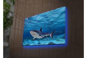 Lerretsbilde med LED-belysning - Hai som svømmer i klart blått vann - Blå / Grå / Hvit - Interiør - Maleri & posters - Lerretsbilder