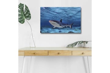 Lerretsbilde med LED-belysning - Hai som svømmer i klart blått vann - Blå / Grå / Hvit - Interiør - Maleri & posters - Lerretsbilder