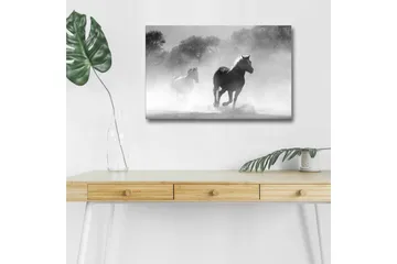 Lerretsbilde med LED-belysning - Hester galopperer gjennom tåke - Svart / Hvit / Grå - Interiør - Maleri & posters - Lerretsbilder