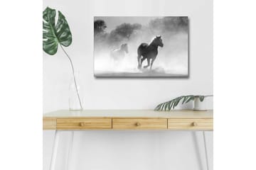 Lerretsbilde med LED-belysning - Hester galopperer gjennom tåke - Svart / Hvit / Grå - Interiør - Maleri & posters - Lerretsbilder