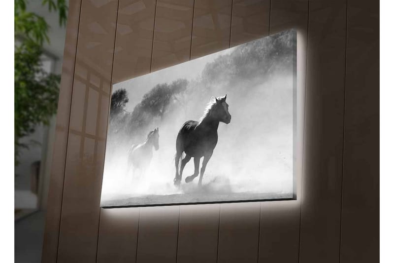 Lerretsbilde med LED-belysning - Hester galopperer gjennom tåke - Svart / Hvit / Grå - Interiør - Maleri & posters - Lerretsbilder