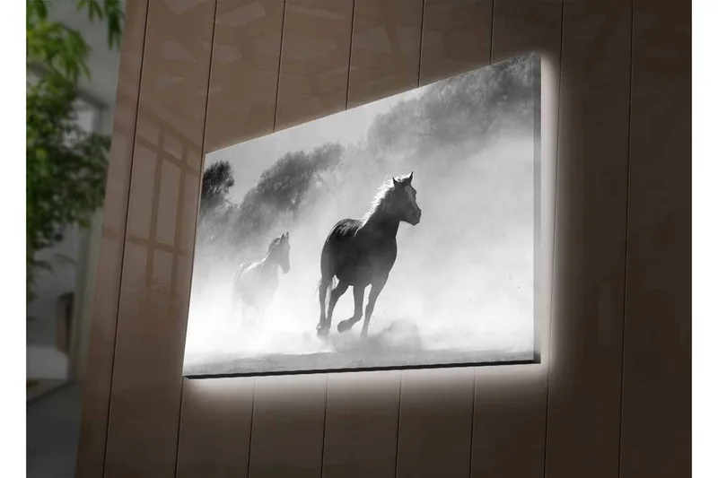 Lerretsbilde med LED-belysning - Hester galopperer gjennom tåke - Svart / Hvit / Grå - Interiør - Maleri & posters - Lerretsbilder