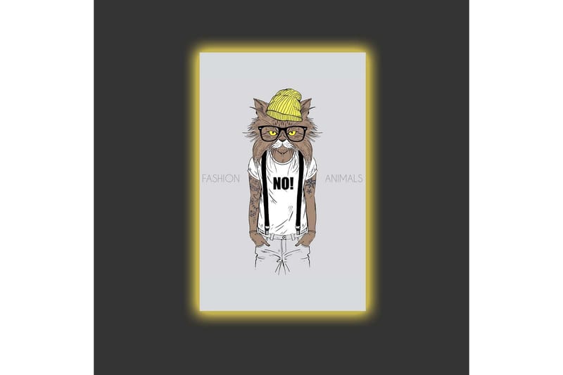 Lerretsbilde med LED-belysning - Hipster-stil katt i klær og briller - Gul / Brun / Hvit - Interiør - Maleri & posters - Lerretsbilder