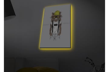 Lerretsbilde med LED-belysning - Hipster-stil katt i klær og briller - Gul / Brun / Hvit - Interiør - Maleri & posters - Lerretsbilder