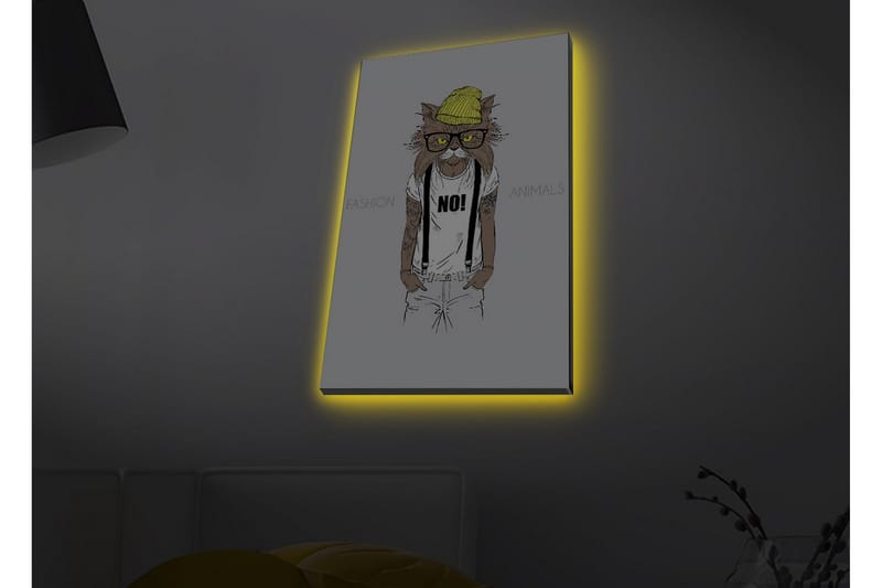 Lerretsbilde med LED-belysning - Hipster-stil katt i klær og briller - Gul / Brun / Hvit - Interiør - Maleri & posters - Lerretsbilder