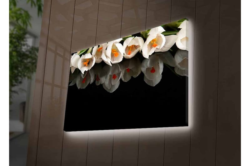 Lerretsbilde med LED-belysning - Hvit blomsterbukett med refleksjon på svart bakgrunn - Hvit / Oransje / Grønn - Interiør - Maleri & posters - Lerretsbilder
