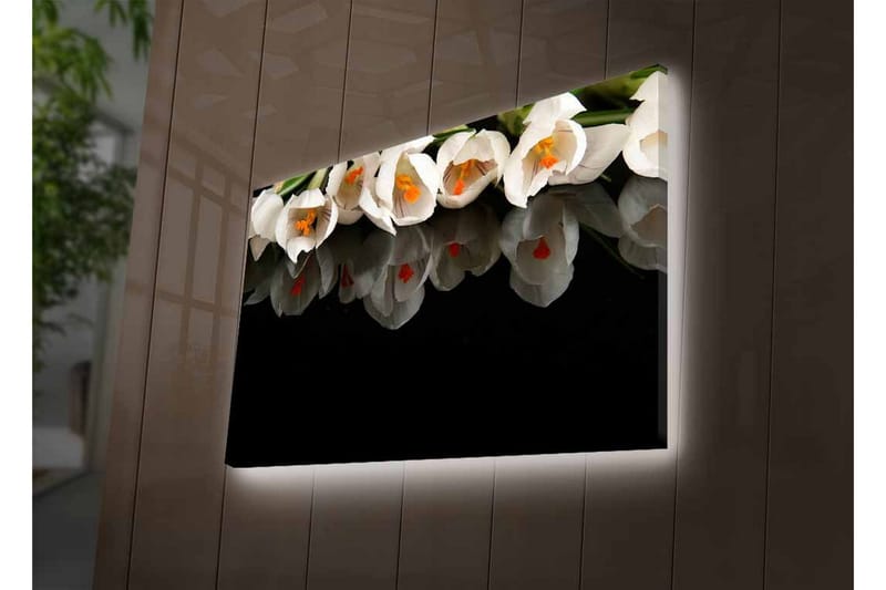 Lerretsbilde med LED-belysning - Hvit blomsterbukett med refleksjon på svart bakgrunn - Hvit / Oransje / Grønn - Interiør - Maleri & posters - Lerretsbilder