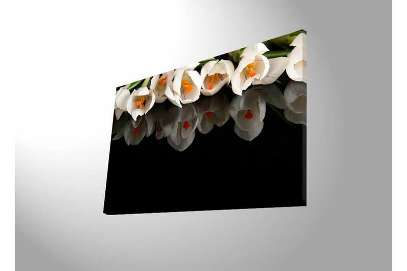 Lerretsbilde med LED-belysning - Hvit blomsterbukett med refleksjon på svart bakgrunn - Hvit / Oransje / Grønn - Interiør - Maleri & posters - Lerretsbilder