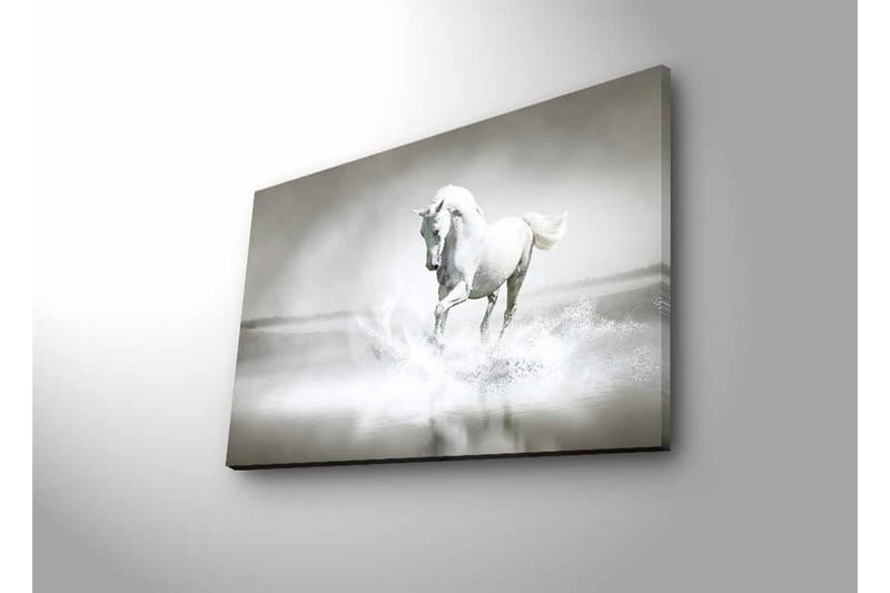 Lerretsbilde med LED-belysning - Hvit hest som spruter vann i tåkete omgivelser - Hvit / Grå - Interiør - Maleri & posters - Lerretsbilder