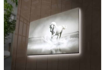 Lerretsbilde med LED-belysning - Hvit hest som spruter vann i tåkete omgivelser - Hvit / Grå - Interiør - Maleri & posters - Lerretsbilder