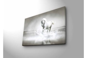 Lerretsbilde med LED-belysning - Hvit hest som spruter vann i tåkete omgivelser - Hvit / Grå - Interiør - Maleri & posters - Lerretsbilder