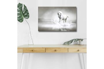 Lerretsbilde med LED-belysning - Hvit hest som spruter vann i tåkete omgivelser - Hvit / Grå - Interiør - Maleri & posters - Lerretsbilder