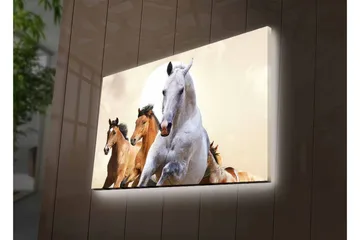 Lerretsbilde med LED-belysning - Løpende hester i en dynamisk komposisjon - Hvit / Brun / Beige - Interiør - Maleri & posters - Lerretsbilder