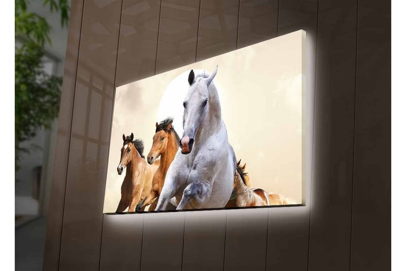Lerretsbilde med LED-belysning - Løpende hester i en dynamisk komposisjon - Hvit / Brun / Beige - Interiør - Maleri & posters - Lerretsbilder