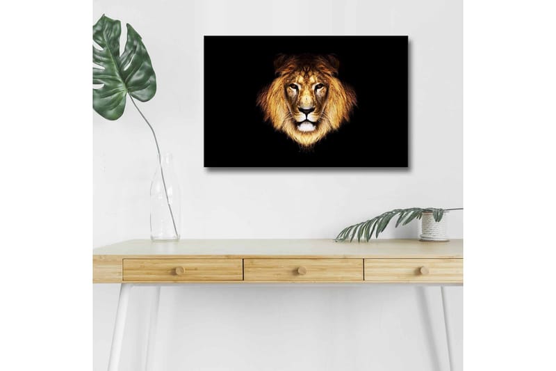 Lerretsbilde med LED-belysning - Løvehode med intenst blikk, Gull / Svart / Brun