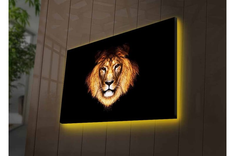 Lerretsbilde med LED-belysning - Løvehode med intenst blikk - Gull / Svart / Brun - Interiør - Maleri & posters - Lerretsbilder