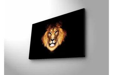 Lerretsbilde med LED-belysning - Løvehode med intenst blikk - Gull / Svart / Brun - Interiør - Maleri & posters - Lerretsbilder