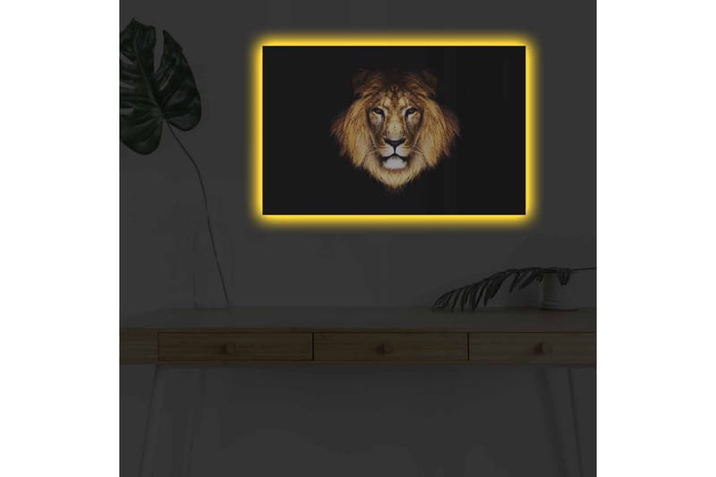 Lerretsbilde med LED-belysning - Løvehode med intenst blikk - Gull / Svart / Brun - Interiør - Maleri & posters - Lerretsbilder