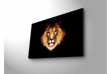 Lerretsbilde med LED-belysning - Løvehode med intenst blikk - Gull / Svart / Brun - Interiør - Maleri & posters - Lerretsbilder