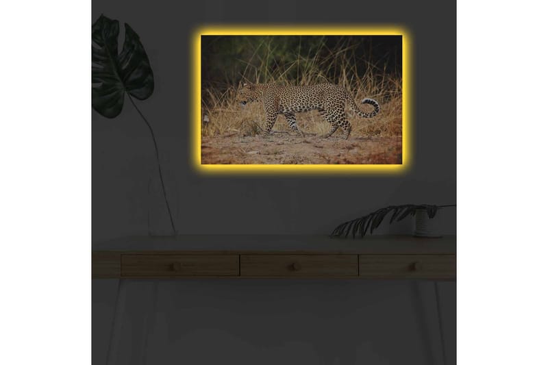 Lerretsbilde med LED-belysning - Leopard som sniker seg gjennom det tørre gresset - Gyllenbrun / Svart / Hvit - Interiør - Maleri & posters - Lerretsbilder