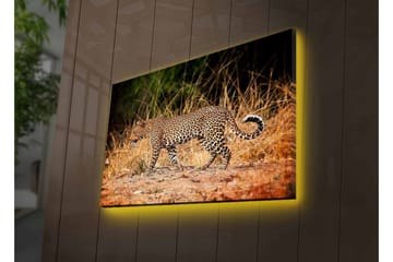 Lerretsbilde med LED-belysning - Leopard som sniker seg gjennom det tørre gresset - Gyllenbrun / Svart / Hvit - Interiør - Maleri & posters - Lerretsbilder