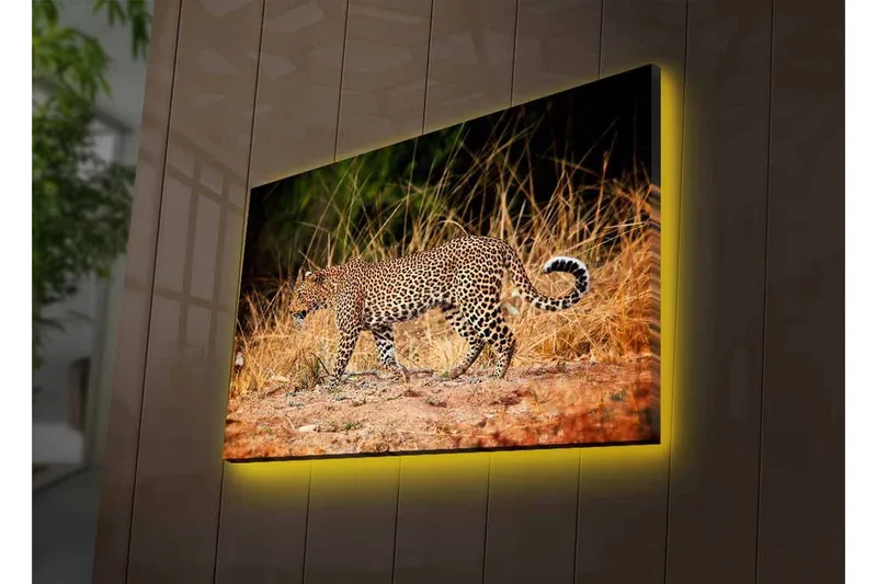 Lerretsbilde med LED-belysning - Leopard som sniker seg gjennom det tørre gresset - Gyllenbrun / Svart / Hvit - Interiør - Maleri & posters - Lerretsbilder