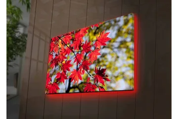 Lerretsbilde med LED-belysning - Lysrøde lønneblader som henger fra en gren - Rød / Grønn - Interiør - Maleri & posters - Lerretsbilder
