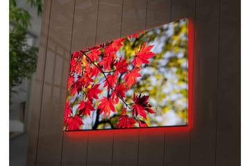 Lerretsbilde med LED-belysning - Lysrøde lønneblader som henger fra en gren - Rød / Grønn - Interiør - Maleri & posters - Lerretsbilder