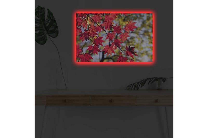 Lerretsbilde med LED-belysning - Lysrøde lønneblader som henger fra en gren - Rød / Grønn - Interiør - Maleri & posters - Lerretsbilder