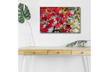 Lerretsbilde med LED-belysning - Lysrøde lønneblader som henger fra en gren - Rød / Grønn - Interiør - Maleri & posters - Lerretsbilder