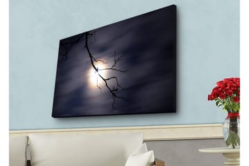 Lerretsbilde med LED-belysning - Månen skinner gjennom mørke skyer med en gren i forgrunnen - Mørk blå / Svart / Hvit - Interiør - Maleri & posters - Lerretsbilder