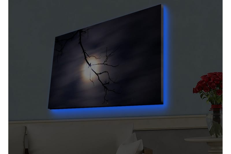 Lerretsbilde med LED-belysning - Månen skinner gjennom mørke skyer med en gren i forgrunnen - Mørk blå / Svart / Hvit - Interiør - Maleri & posters - Lerretsbilder