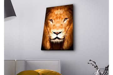 Lerretsbilde med LED-belysning - Majestetisk løvehode i nærbilde - Gull / Brun / Svart - Interiør - Maleri & posters - Lerretsbilder