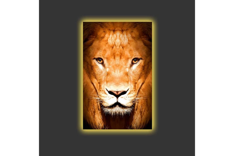 Lerretsbilde med LED-belysning - Majestetisk løvehode i nærbilde - Gull / Brun / Svart - Interiør - Maleri & posters - Lerretsbilder