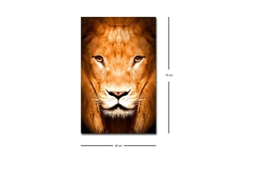 Lerretsbilde med LED-belysning - Majestetisk løvehode i nærbilde - Gull / Brun / Svart - Interiør - Maleri & posters - Lerretsbilder