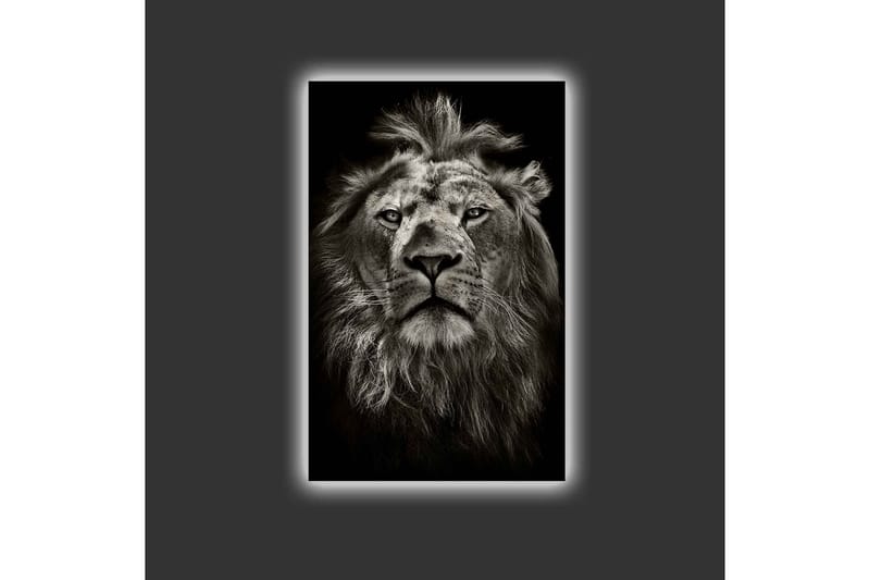 Lerretsbilde med LED-belysning - Majestetisk løvehode i svart-hvitt - Svart / Grå - Interiør - Maleri & posters - Lerretsbilder