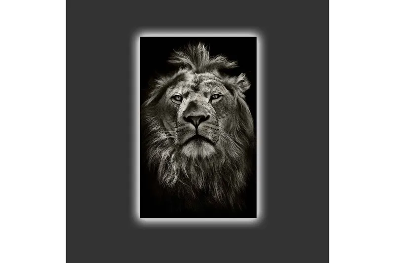 Lerretsbilde med LED-belysning - Majestetisk løvehode i svart-hvitt - Svart / Grå - Interiør - Maleri & posters - Lerretsbilder