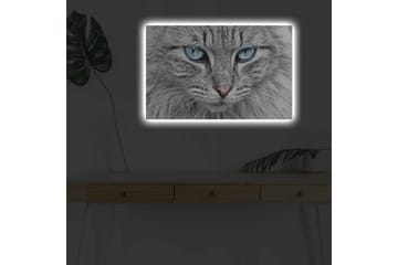 Lerretsbilde med LED-belysning - Nærbilde av en grå katt med blå øyne - Grå / Blå / Rosa - Interiør - Maleri & posters - Lerretsbilder