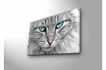 Lerretsbilde med LED-belysning - Nærbilde av en grå katt med blå øyne - Grå / Blå / Rosa - Interiør - Maleri & posters - Lerretsbilder
