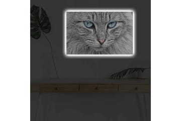 Lerretsbilde med LED-belysning - Nærbilde av en grå katt med blå øyne - Grå / Blå / Rosa - Interiør - Maleri & posters - Lerretsbilder