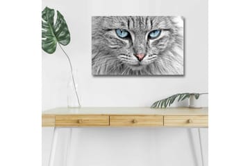 Lerretsbilde med LED-belysning - Nærbilde av en grå katt med blå øyne - Grå / Blå / Rosa - Interiør - Maleri & posters - Lerretsbilder