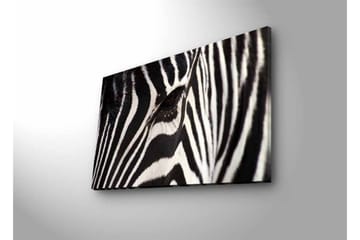 Lerretsbilde med LED-belysning - Nærbilde av et sebraansikt med tydelige svarte og hvite striper - Svart / Hvit - Interiør - Maleri & posters - Lerretsbilder