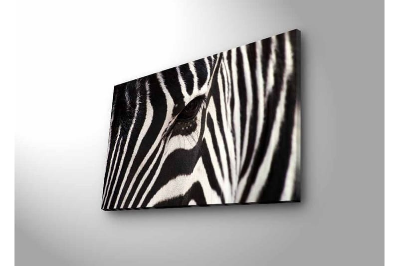 Lerretsbilde med LED-belysning - Nærbilde av et sebraansikt med tydelige svarte og hvite striper - Svart / Hvit - Interiør - Maleri & posters - Lerretsbilder