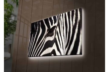 Lerretsbilde med LED-belysning - Nærbilde av et sebraansikt med tydelige svarte og hvite striper - Svart / Hvit - Interiør - Maleri & posters - Lerretsbilder