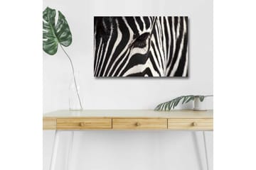 Lerretsbilde med LED-belysning - Nærbilde av et sebraansikt med tydelige svarte og hvite striper - Svart / Hvit - Interiør - Maleri & posters - Lerretsbilder