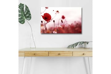 Lerretsbilde med LED-belysning - Røde valmuer i en mykt uskarp blomstereng - Rød / Rosa / Grønn - Interiør - Maleri & posters - Lerretsbilder