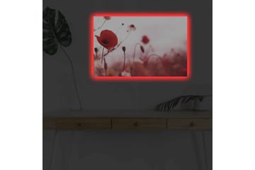 Lerretsbilde med LED-belysning - Røde valmuer i en mykt uskarp blomstereng - Rød / Rosa / Grønn - Interiør - Maleri & posters - Lerretsbilder