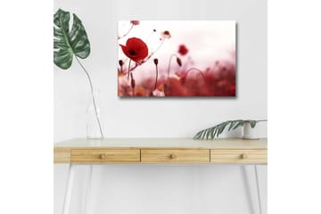 Lerretsbilde med LED-belysning - Røde valmuer i en mykt uskarp blomstereng - Rød / Rosa / Grønn - Interiør - Maleri & posters - Lerretsbilder