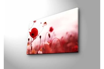 Lerretsbilde med LED-belysning - Røde valmuer i en mykt uskarp blomstereng - Rød / Rosa / Grønn - Interiør - Maleri & posters - Lerretsbilder
