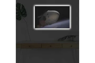 Lerretsbilde med LED-belysning - Romfartøy i bane over jorden - Svart / Hvit / Blå - Interiør - Maleri & posters - Lerretsbilder